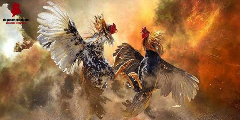 Một công ty game uy tín với xếp hạng 58Win đang tặng thưởng 38000 đô la - 58Win