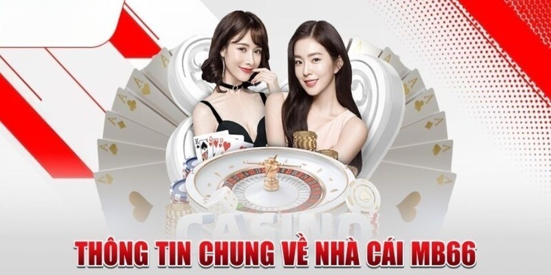 Những lợi ích khi trở thành thành viên mới của Nohu - Nohu
