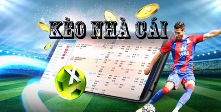 Các hoạt động quảng bá của Go99 được cập nhật thường xuyên - Go99