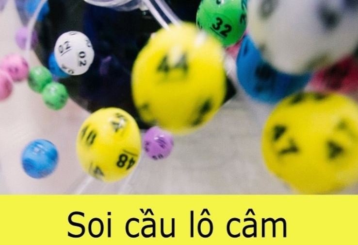 9Dbet dễ tải xuống hơn và chạy mượt mà hơn - 9Dbet
