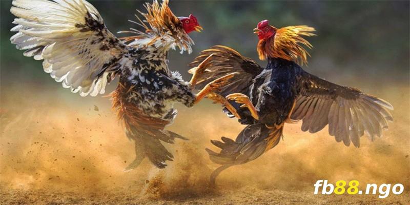 Trang web cổng game video cấp Gi88 ra mắt các hoạt động khuyến mãi đặc biệt - Gi88