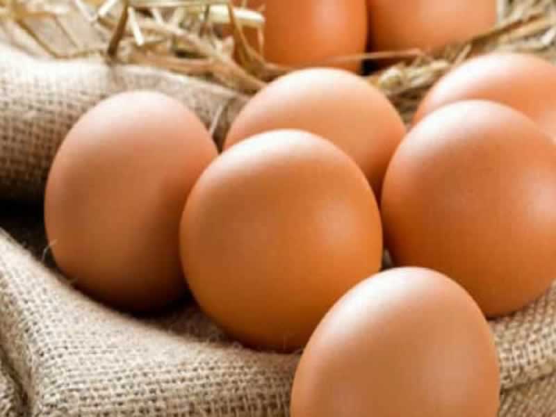 Tôi cần điền những thông tin gì khi đăng ký Oppabet? - Oppabet