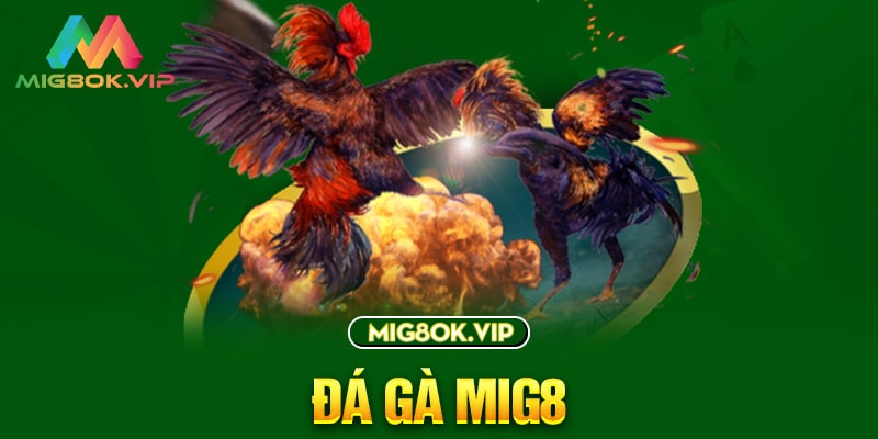 D9bet Games cung cấp các sự kiện thể thao công bằng và khách quan - D9bet