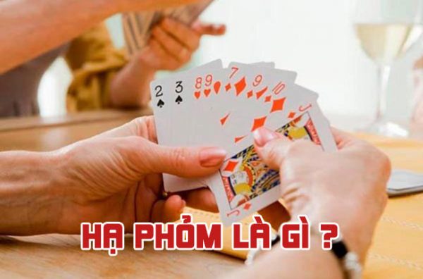 Đánh giá của khách hàng Ev8 KIM - Ev8