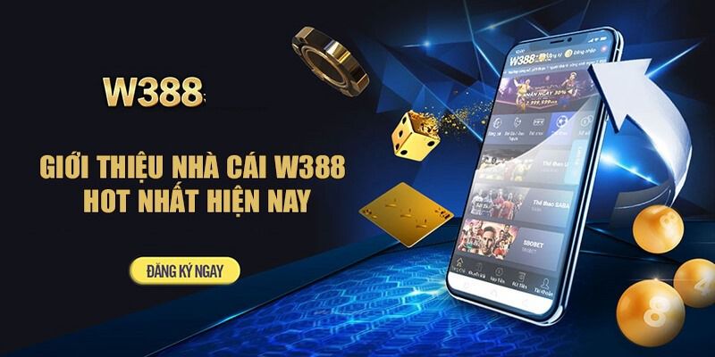 Tổng quan về Chương trình Thăng hạng từ cấp độ F88bet lên F88bet năm 2026 - F88bet