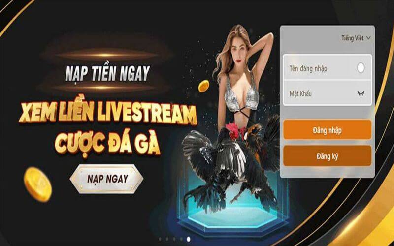 Truy cập trang web Vb66 Games bằng máy tính - Vb66
