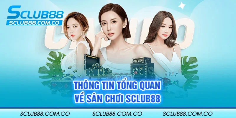 Các chính sách dành cho đại lý cấp Sm66 rất hấp dẫn - Sm66